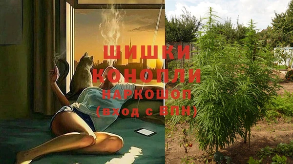 гидра Заволжье