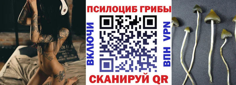 Галлюциногенные грибы мицелий  Купить где  Ермолино 